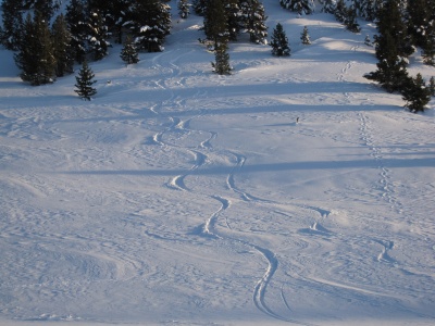 Avoir les skis permet de faire quelques sympathiques traces lorsque les pentes s'y prêtent
