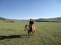 MONGOLIE cheval