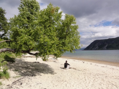 De jolies plage de sable par endroit (Kvaløya)