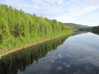 La Norvège est parcourue de multitudes de rivières (pleine de truites :-) )