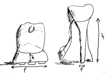 Rapport de stabilité h/l : chaussures vues de dos. h la hauteur du pied par rapport au sol, l la largeur du talon au sol.