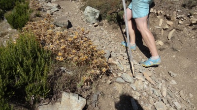 Rando dans la montagne Corse en terrain varié, 1000m de D+ avec les Clearwater (+chaussettes), ça passe!