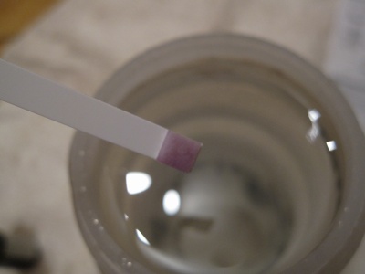 Test avec les bâtonnets, la coloration violette indique que l'eau à traiter est suffisament chargée en chlore pour que le traitement soit efficace