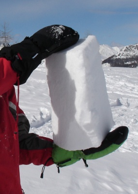 Manipulation des blocs de neige pour la fabrication d'un igloo