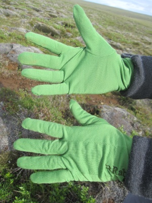 Rab MeCo 165 Gloves