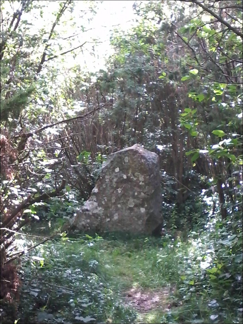 Sur la route vers Halmstad, une pierre de l'âge du fer.