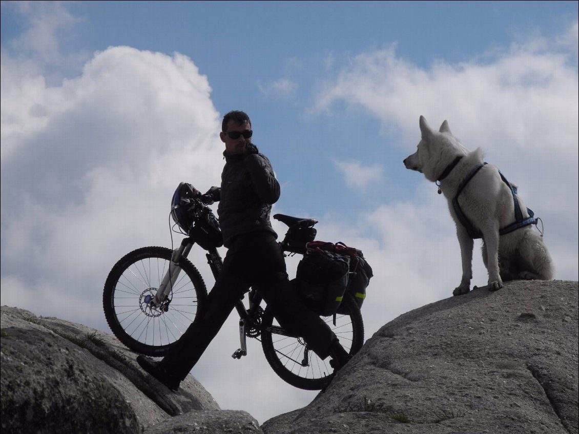 Couverture de Tour du  Mont  Lozère à VTT  avec un chien