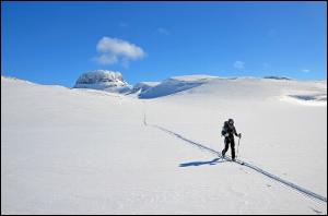test-de-skis-de-randonnee-nordique-fischer