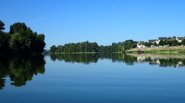 Grande Ile de Chouzay (rive gauche) - Ile Tenneguin (centre) - Chouzé-sur-Loire - lundi 6 juillet 2015 09:49 