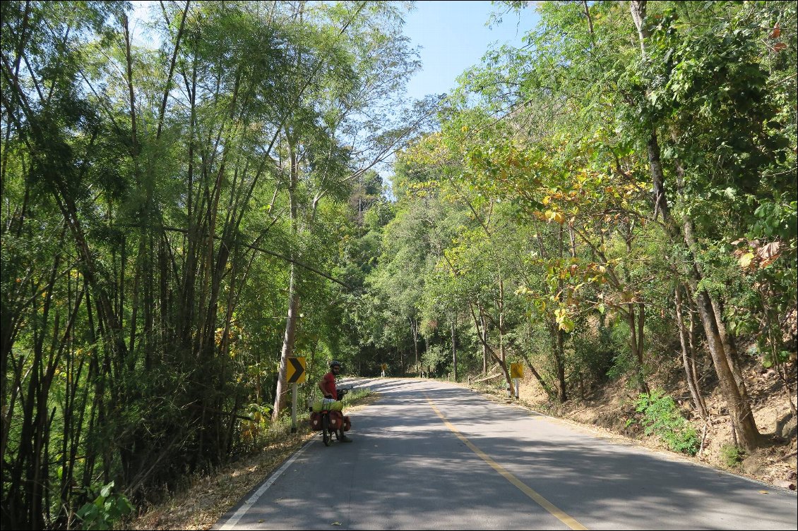 Entre Sukhothai et Mae Sot, on passe par les montagnes pour éviter la route principale réputée très passante et peu agréable pour les cyclo. Au moins, on est au frais, le soleil tape fort!