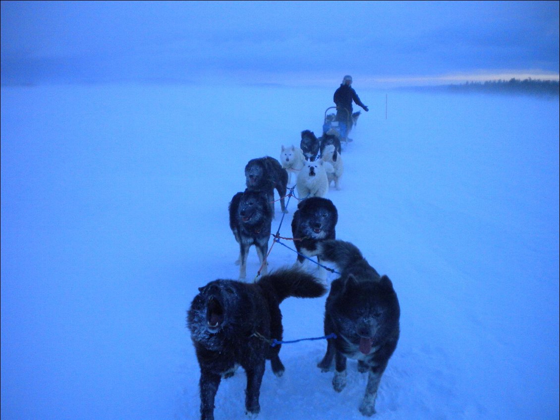 Expédition sur le lac Inari en Finlande en autonomie avec des chiens d'exception (race de taïmyr) pris dans un blizard.
Photo : Vincent Almorozo, voir sa page Facebook, et son site web.