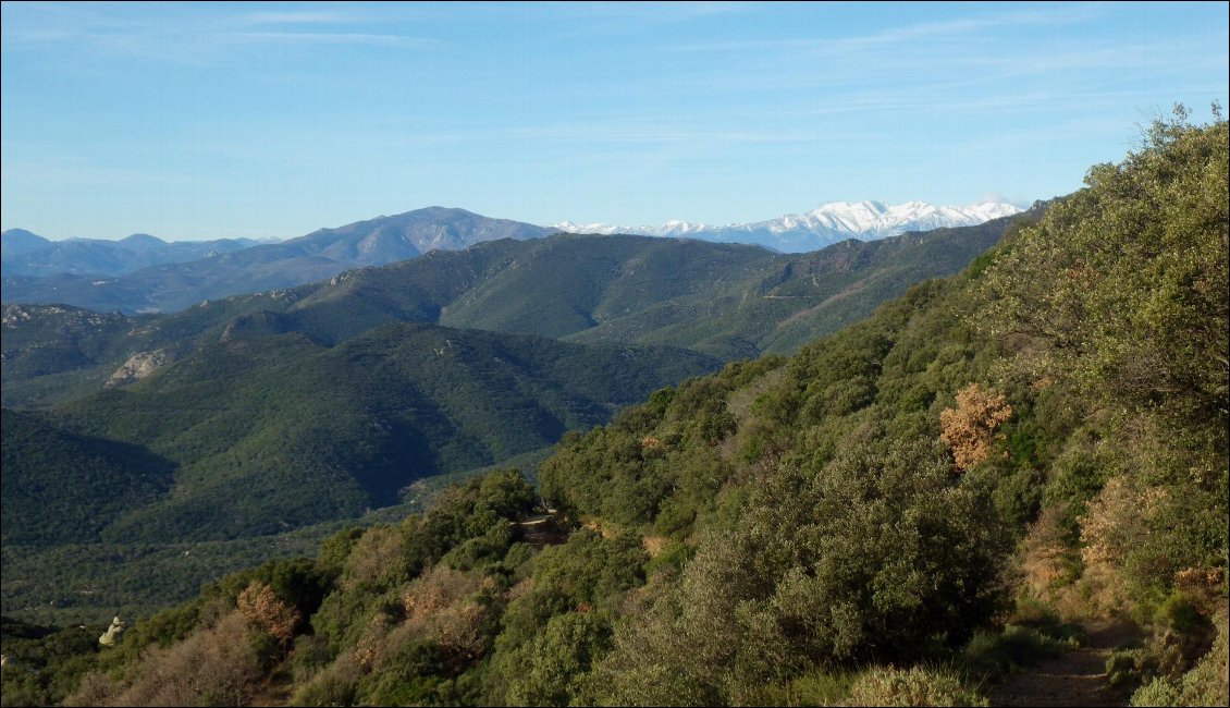 Couverture de Circuit rando Pyrénées-Orientales : parenthèse ensoleillée