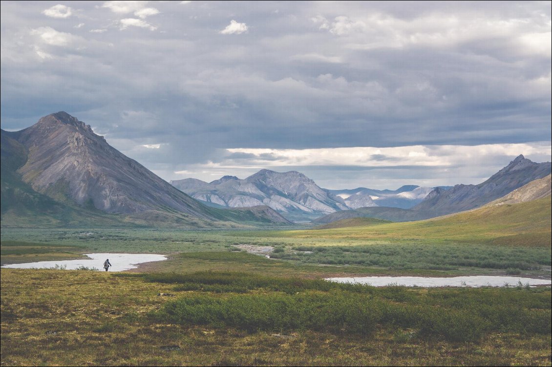 Fin juin, il ne reste plus que quelques plaques de neige dans la vallée de la Junjik.
Trek en Alaska, 500 km aux confins du monde.
Photo : Guillaume Tartayre et Irina Alles