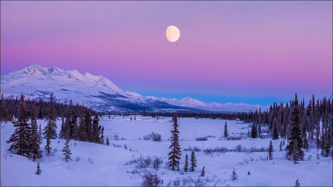 Un magnifique lever de Lune sur le massif de l'Alaska Range, alors que les dernières lumières du soleil couchant disparaissent.
Julien Schroder - Voir son site