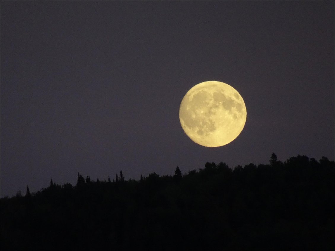 Pleine Lune, photo prise dans le "rang de l'Anse à Pelletier" à St Fulgence, au Québec, un soir d'octobre 2016. Photo qui clôturait la fin d'un superbe été passé chez nos amis du jjord du Saguenay !
Photo : Pauline Lourmière