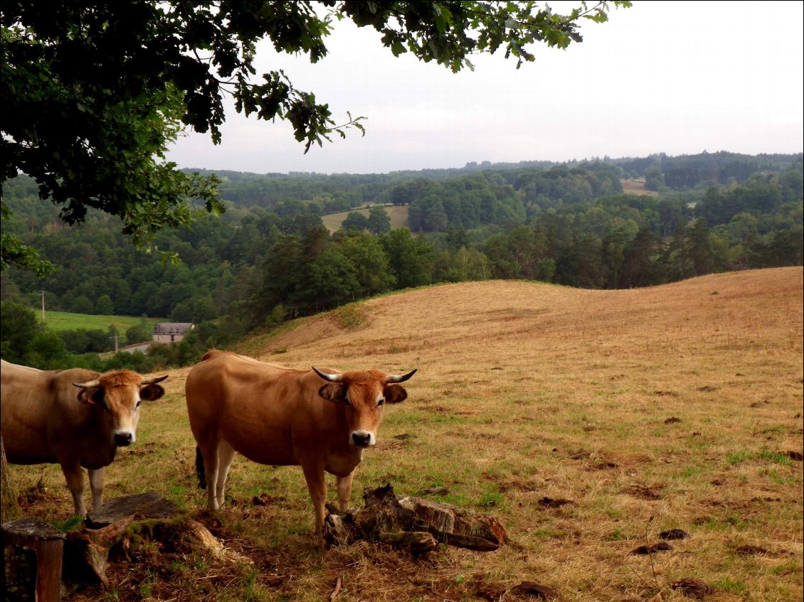 Couverture de Corrèze : 3 jours de trek en autonomie