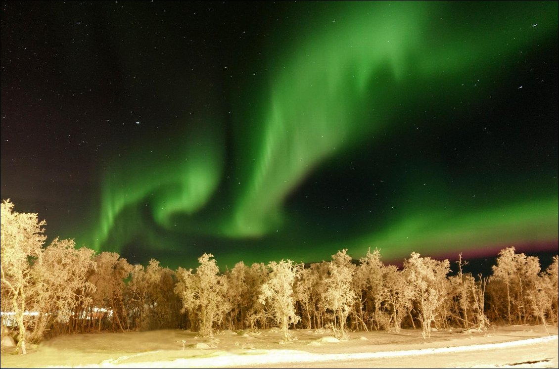 Aurore boréale pendant la nuit polaire de Laponie
Photo : Florence Archimbaud et Sylvie Massart