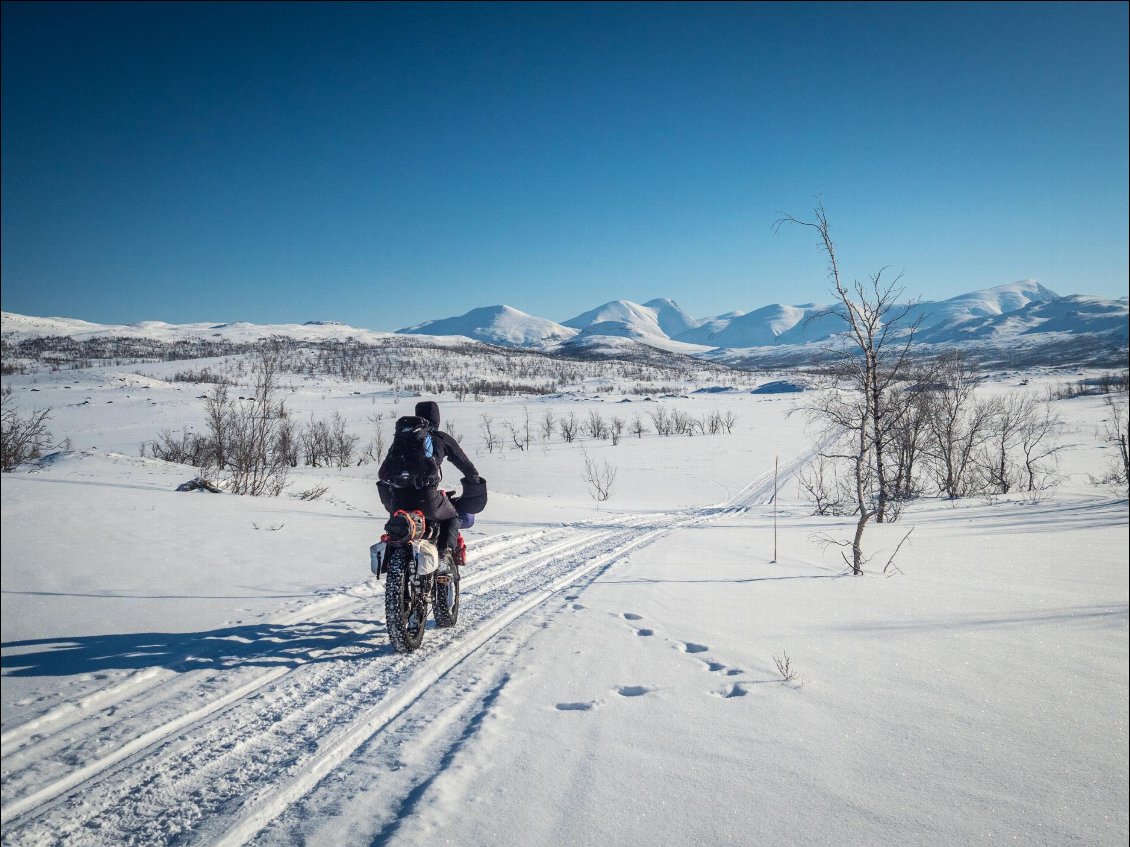 Quand les conditions sont bonnes, le fatbike est presque le moyen idéal pour parcourir ces étendues sauvages ! :-)
Fatbike sur la Kungsleden, Laponie suédoise
Photo : Photo Huw Oliver et Annie Lloyd-Evans