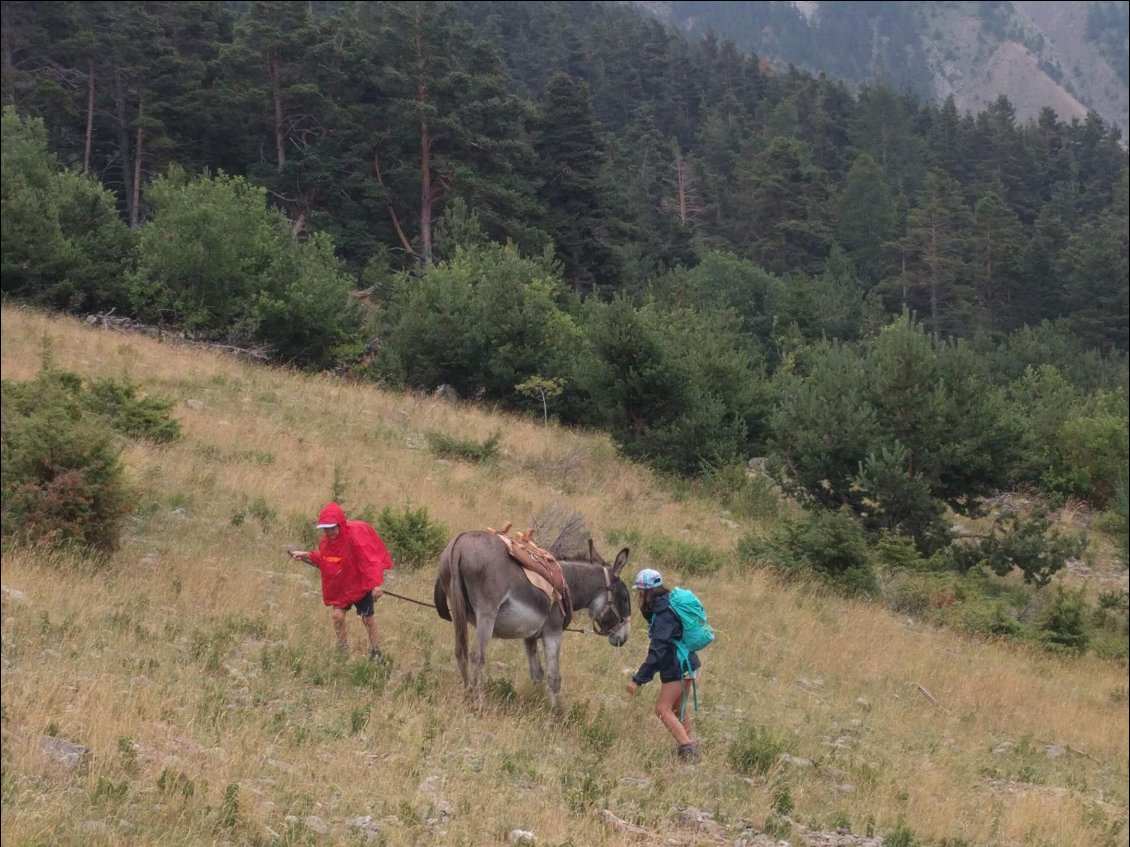 Trek en montagne en famille avec un âne