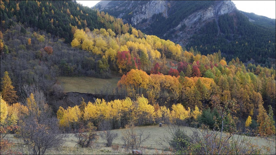Couleurs d'automne, vallée de l'Ubaye.