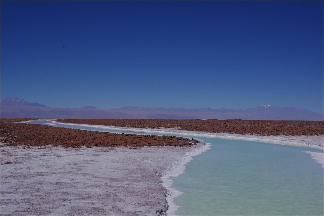 Un petit espace de paradis caché au coeur du Salar d'Atacama.