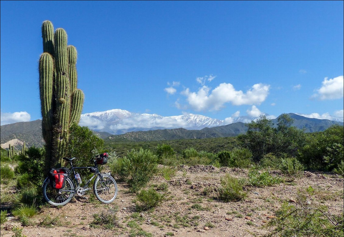 Cactus candélabres, attention aux crevaisons !
14 mois à vélo pour inaugurer la retraite
Photo : Philippe Sauvage