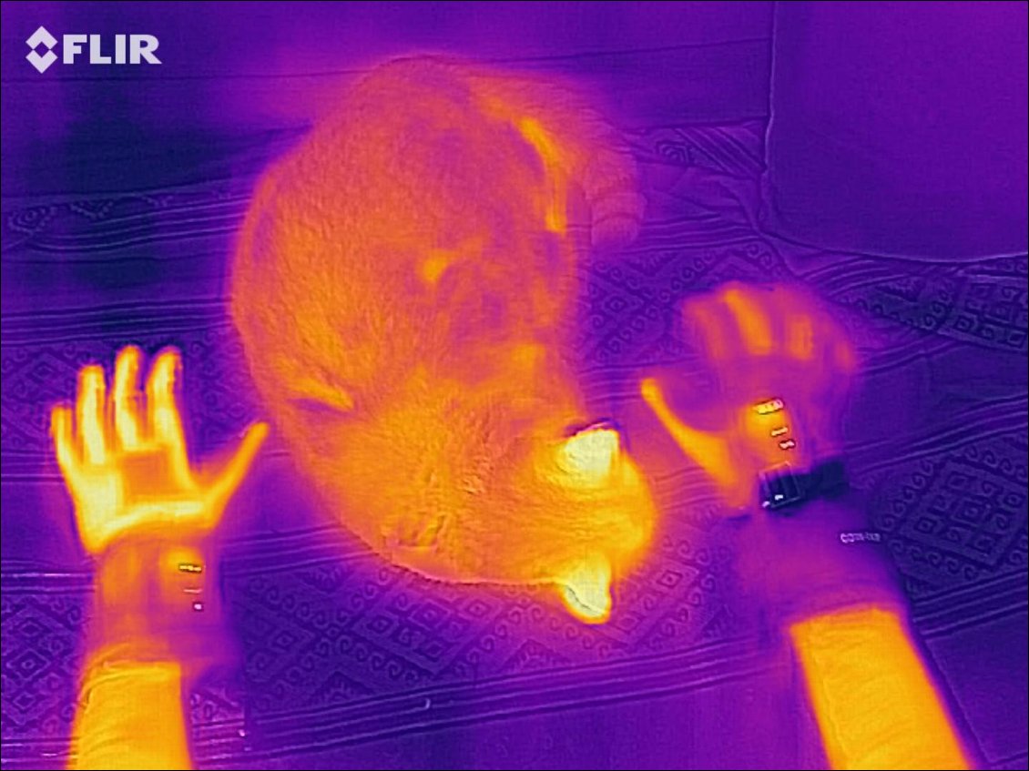 Comparaisons à la caméra thermique : plus c'est jaune/rouge, plus c'est chaud.
Ces photos en caméra thermique permettent de voir les zones du gant concernées par le circuit de chauffage (ainsi, le poignet n'est pas chauffé).
On voit que le gant à gauche de la photo est soit moins isolant (il laisse davantage sortir la chaleur vers l'extérieur) que celui de droite (il faudra alors mettre ce point en perspective avec les tests des gants sans chauffage), soit son système de chauffage chauffe plus fort.
Le chat, quant à lui, est bien isolé par son pelage, sauf aux oreilles :-).