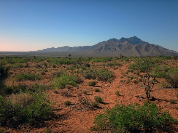 le désert du Nouveau Mexique