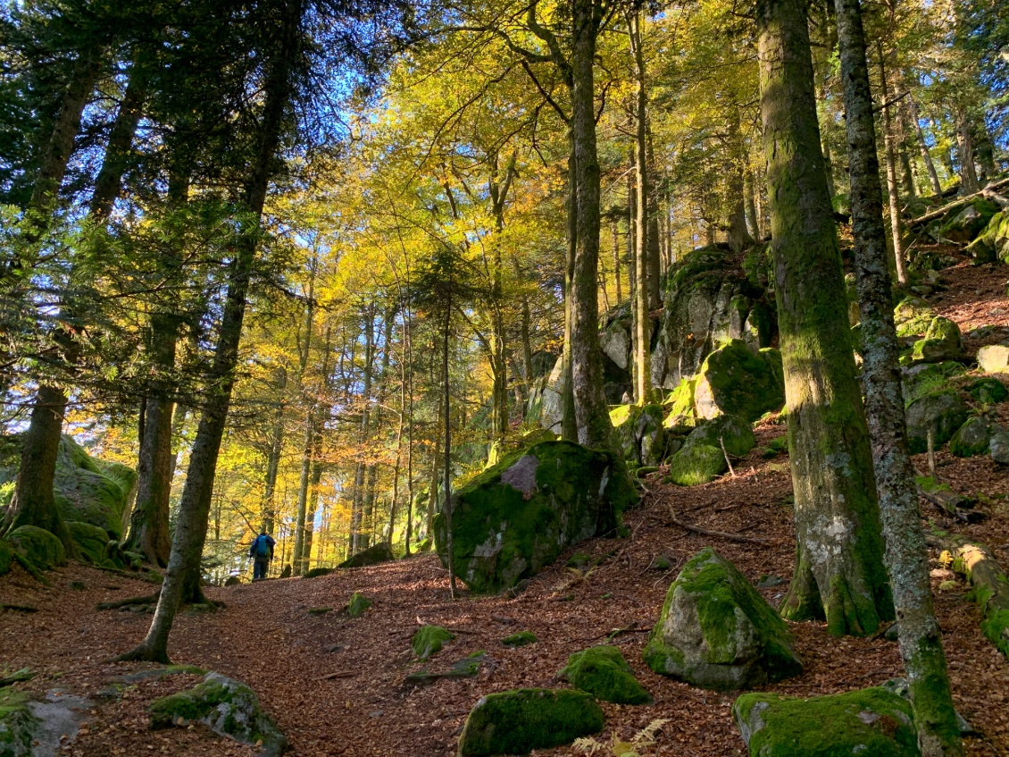 Forêts enchantées des Vosges. Spitzkopfe. Photo Vertical Trotters.