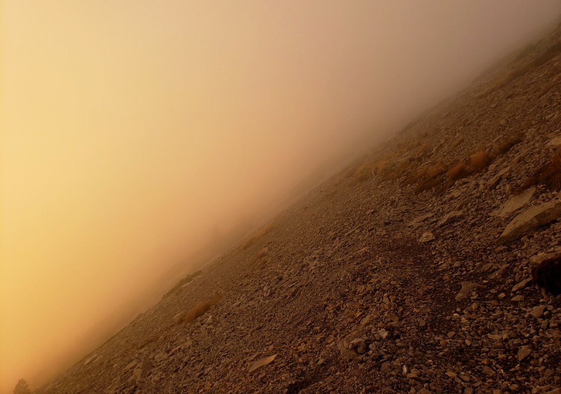 Un coucher de soleil coloré dans le brouillard et le vent.