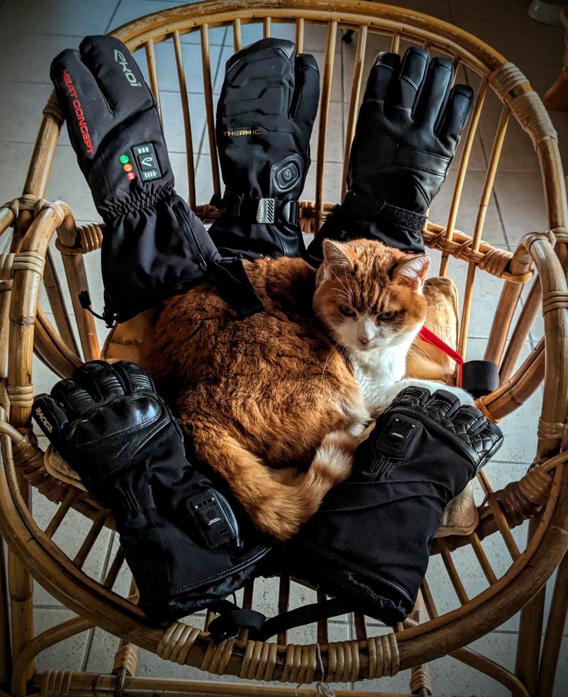 3-doigts, moufles, gants classiques plus ou moins isolants / protecteurs... ce chat regrette juste l'absence de modèles pour coussinets.